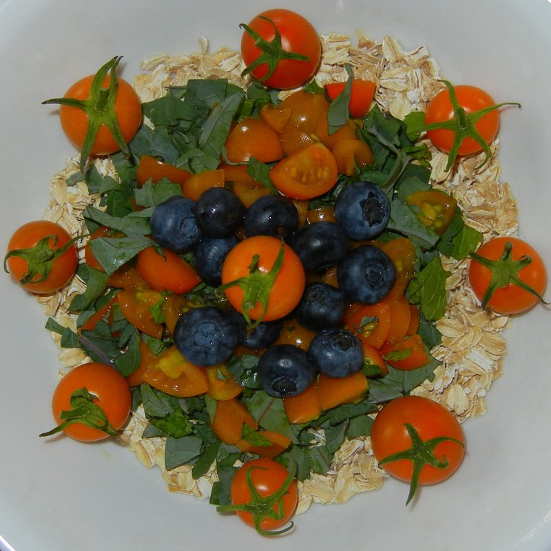 Sun Golds on Oatmeal & Kale BY DOROTHY GREET